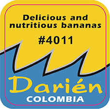DARIEN