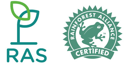 ras rainforest