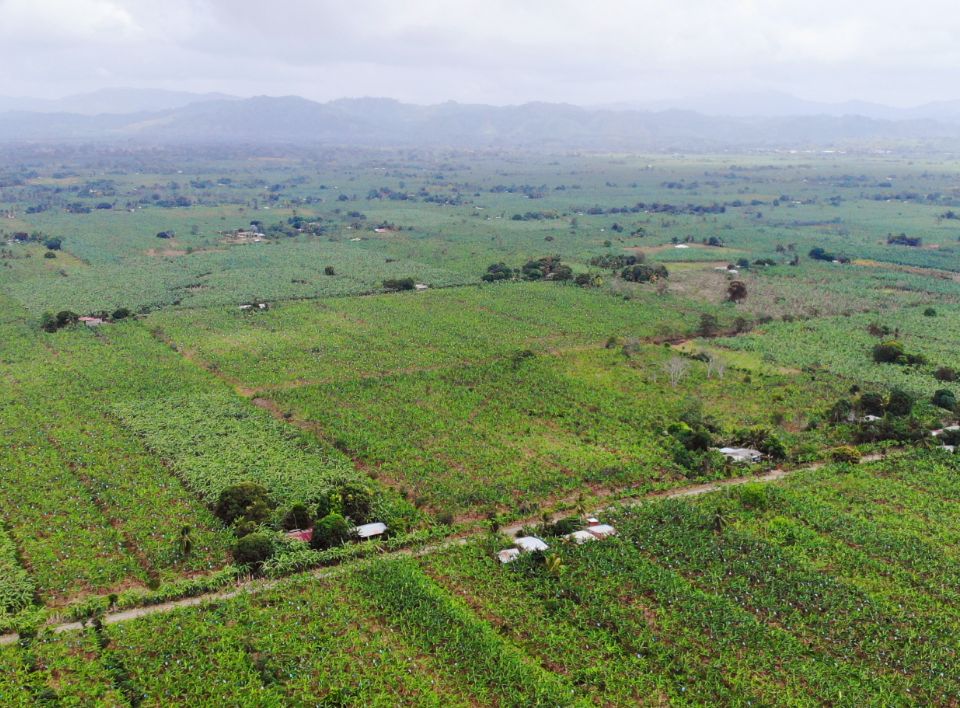 Zona bananera Urabá