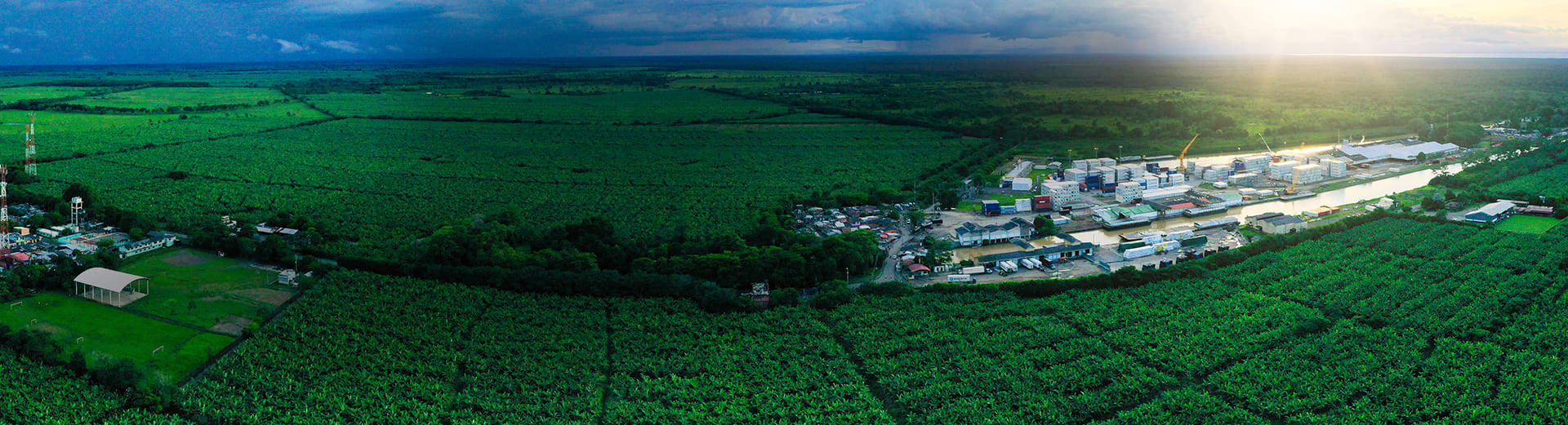 planeta verde