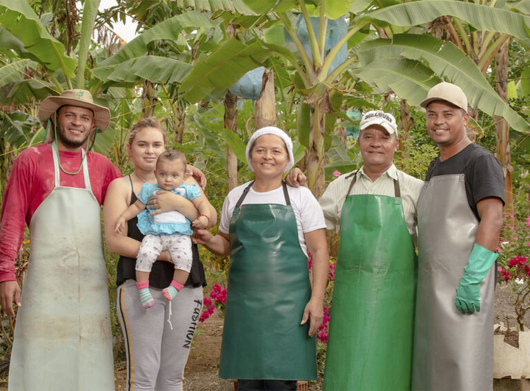Polyban Modelo de Valor | Uniban