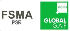 Logo FSMA Globalgap