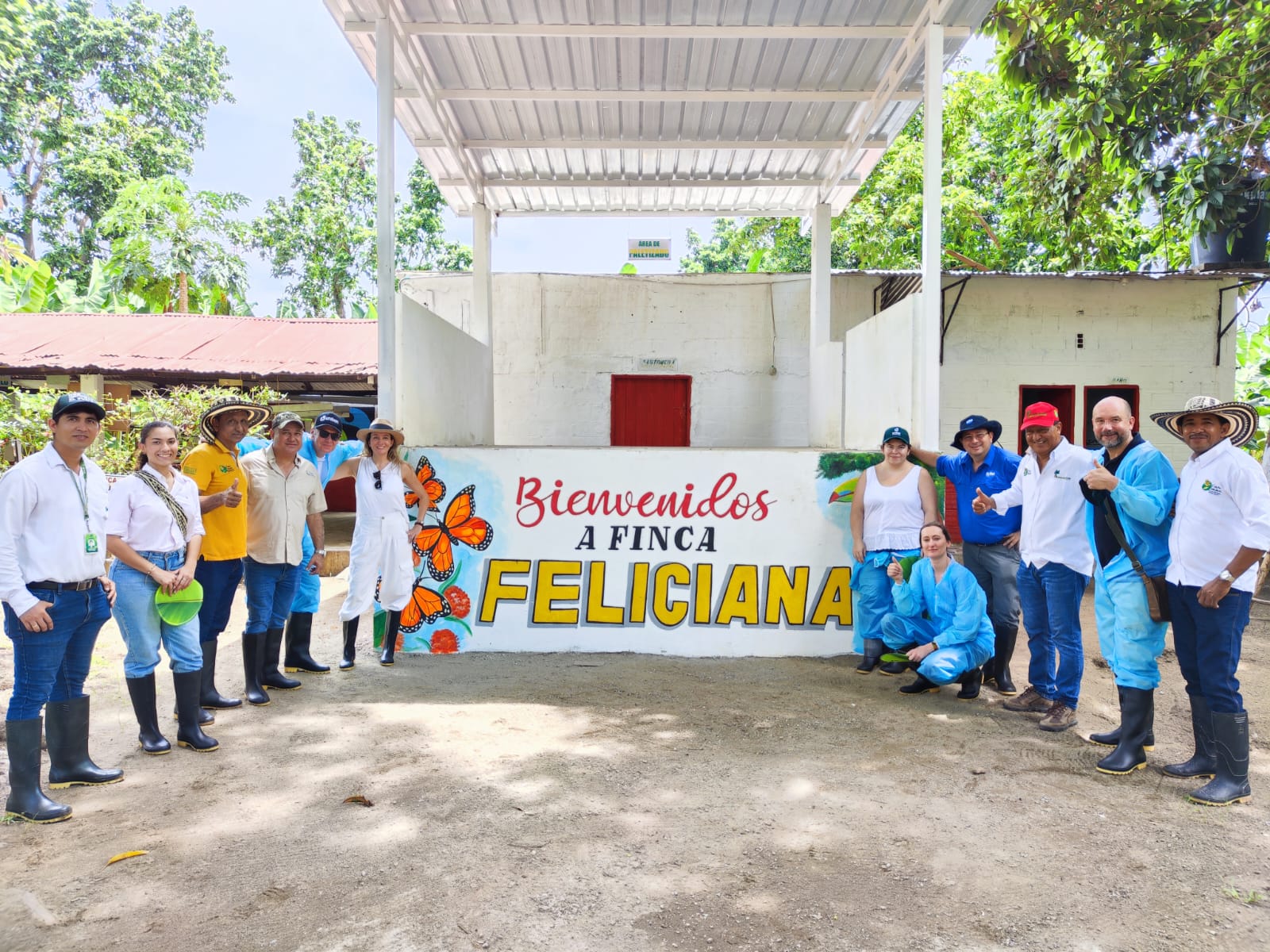 Visita Sainsbury Fyffes