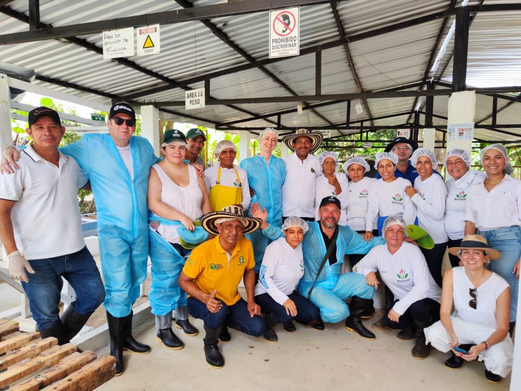 Visita Sainsbury Fyffes