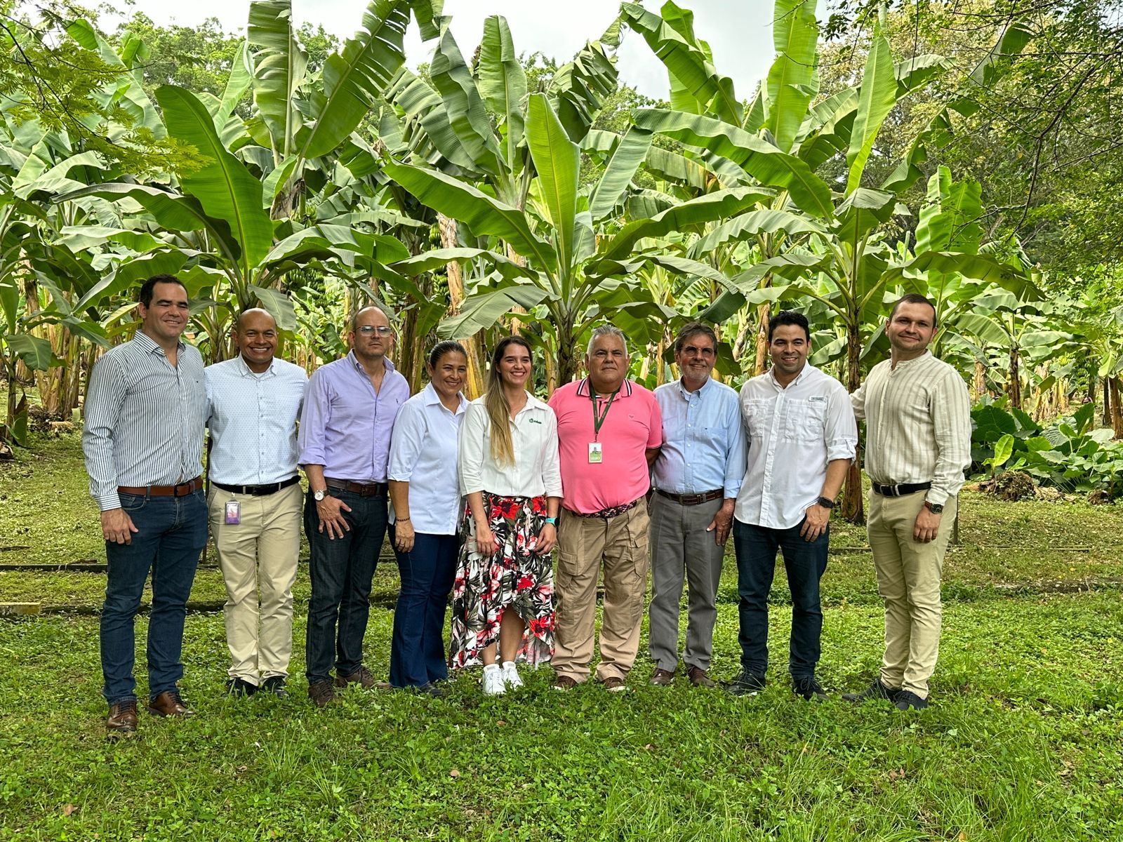 Seguros agropecuarios en Colombia