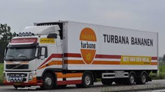 TURBANA BANANEN