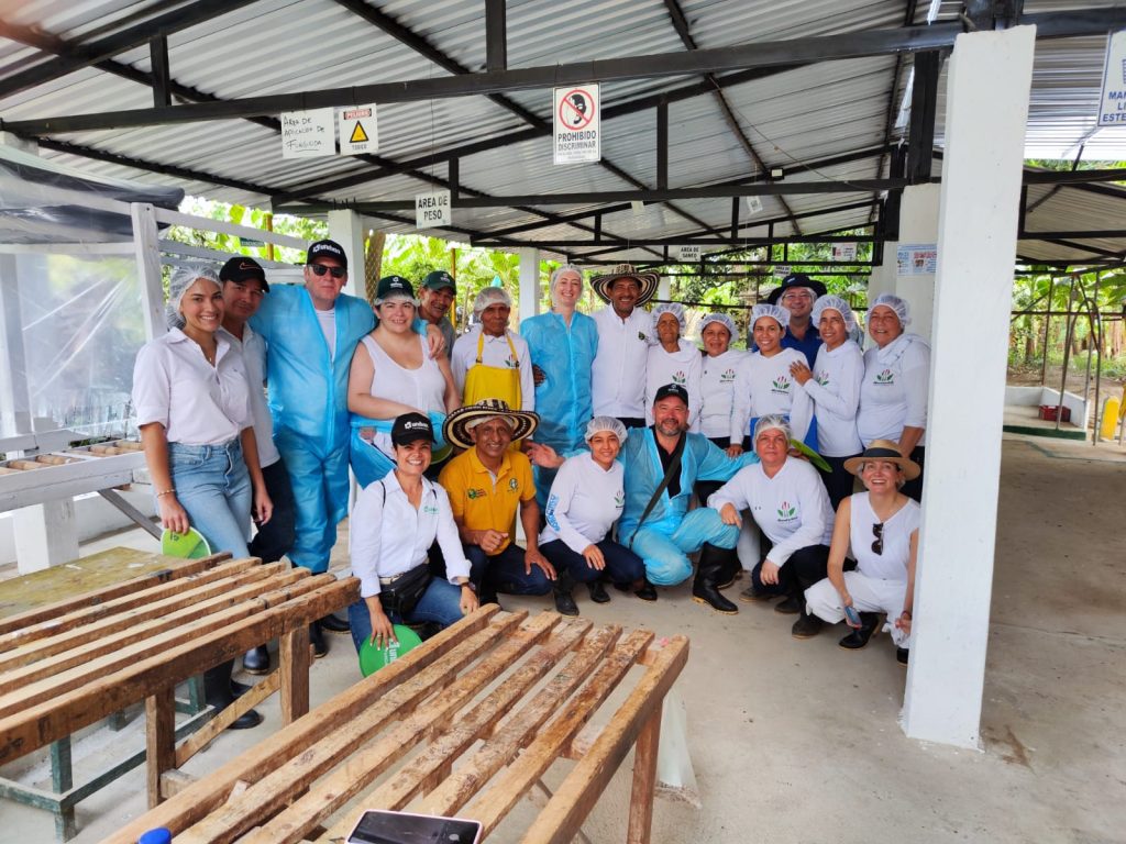 Visita Sainsbury Fyffes